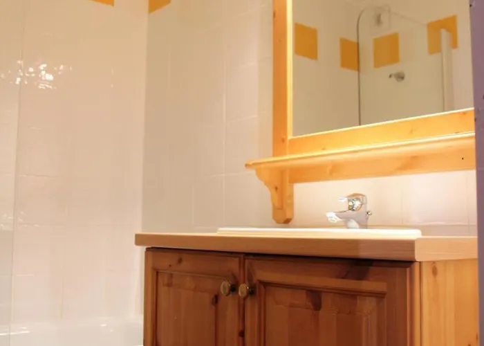 Olympic - Location: Joli Aux Pieds Des Pistes Daire *